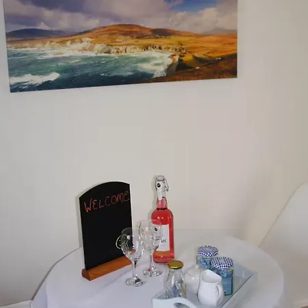 Riverbank Daire Westport